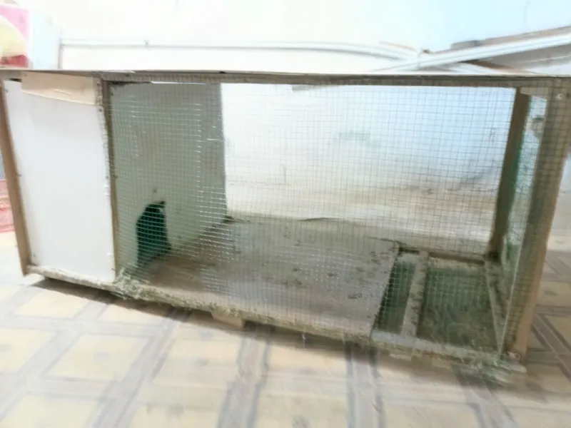 Quyon qafasi sotiladi 4