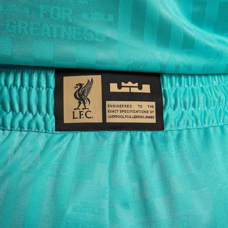 Мужские шорты Nike LeBron x Liverpool FC Dri-Fit DNA Basketball Shorts — фото 4