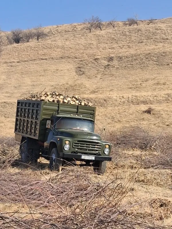 Zil yuk mashinasi