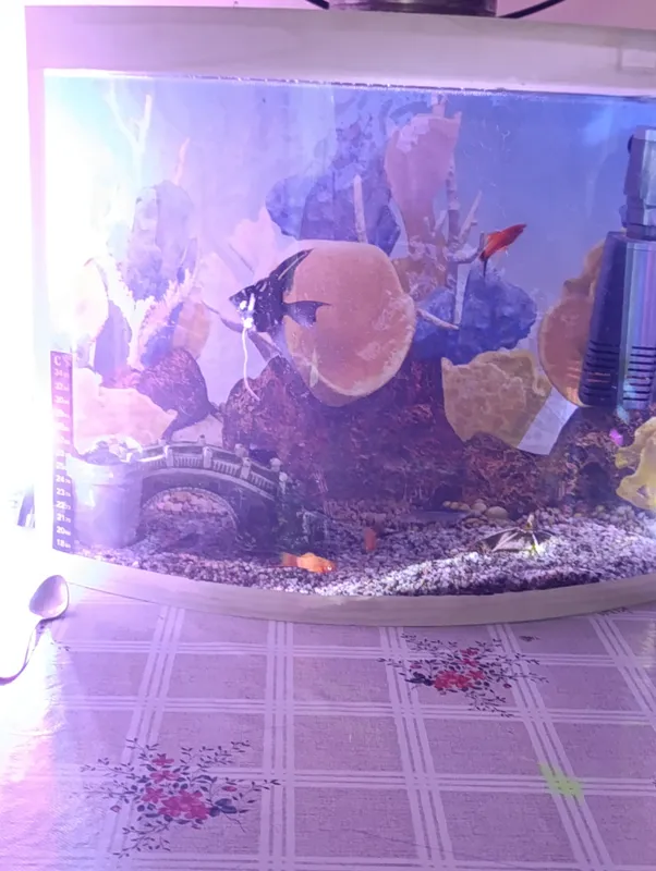 Akvarium 2