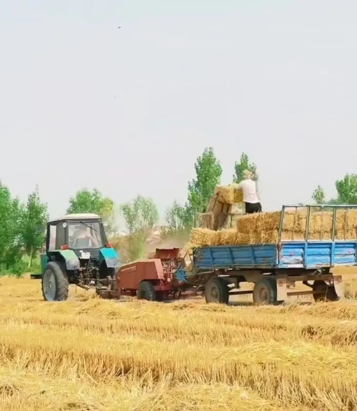Sholi press sotiladi