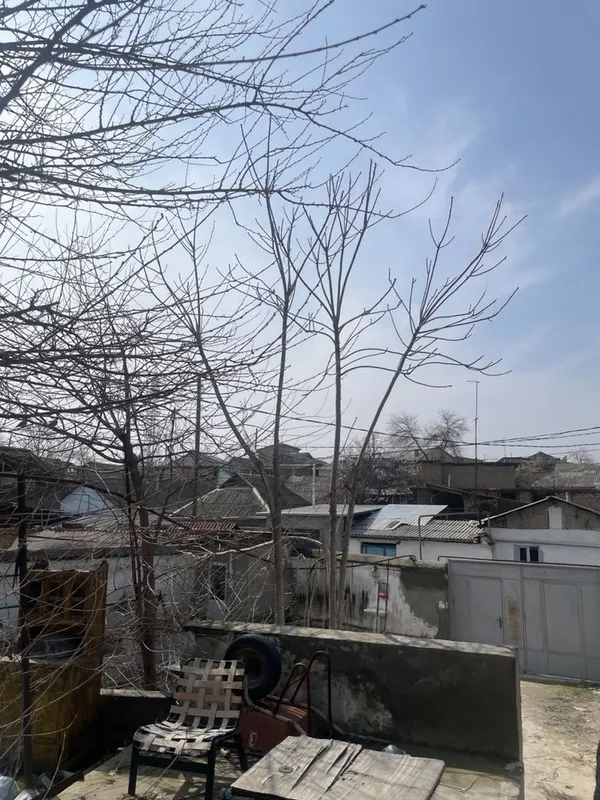 Продаётся дом за наличные 2 Продаётся дом за наличные 2