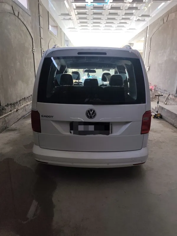 Wollsfagen Caddy 2