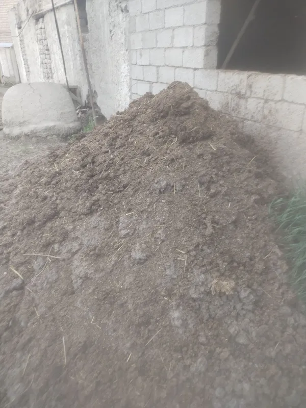 Toza nuri sotiladi