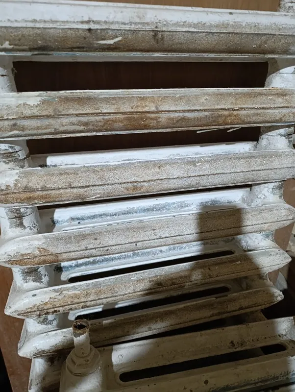 Atapleniya kafolati bilan 3