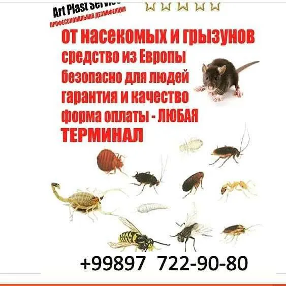 Дезинфекция таракан,клапа, пашша ,чаён — фото 6 Дезинфекция таракан,клапа, пашша ,чаён — фото 6