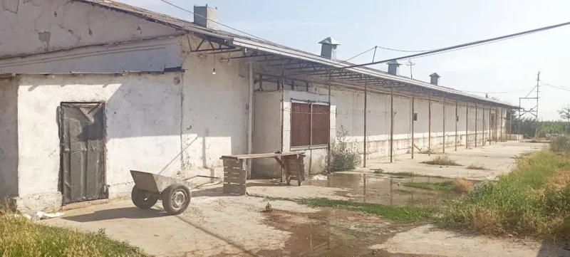 Yangi ozbekistonda 10 gektar yer sotiladi — фото 3