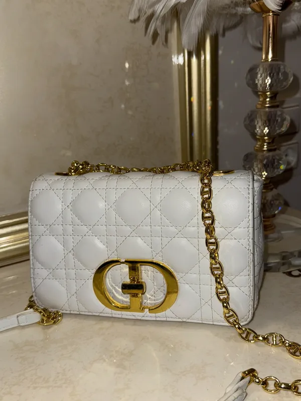 Sumka Dior