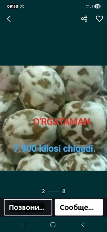 Pryanik orgataman 2