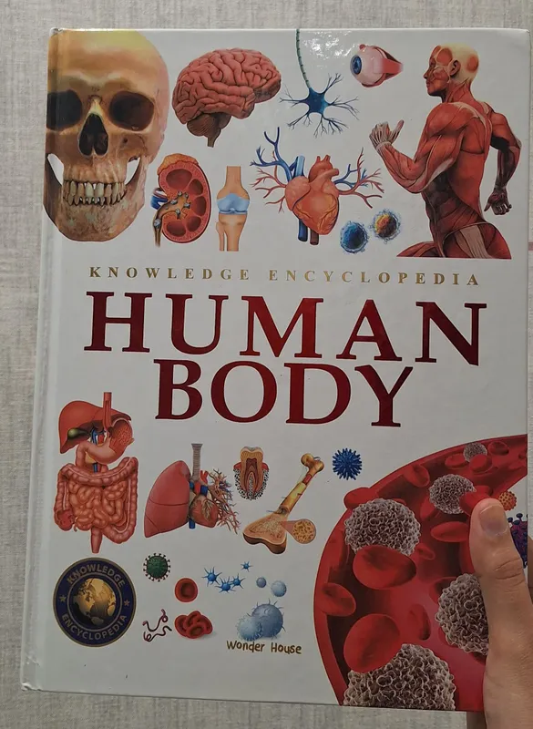 Knowledge Encyclopedia " HUMAN BODY"