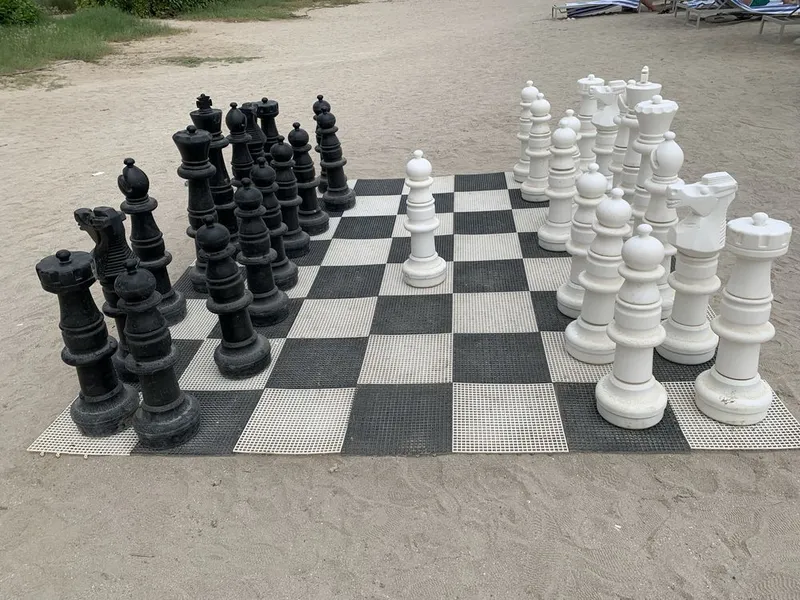 Онлайн уроки по шахматам/ Online chess lessons — фото 1