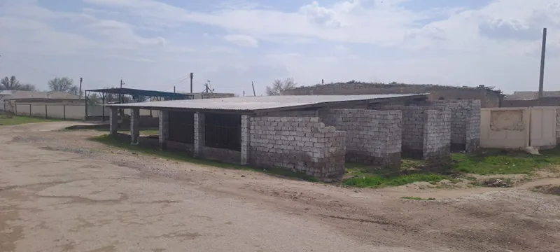 Кашкадарё вилоят Нишон туман марказидаги савдо базаси 4 Кашкадарё вилоят Нишон туман марказидаги савдо базаси 4