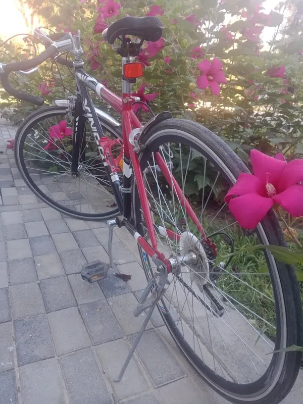 Velo sport judayam yaxshi xolatda bu narxga topish qiyin — фото 3
