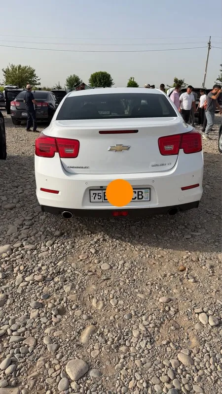 Malibu 1 2013 yil 2 pazitsa lyuki bor 4 Malibu 1 2013 yil 2 pazitsa lyuki bor 4