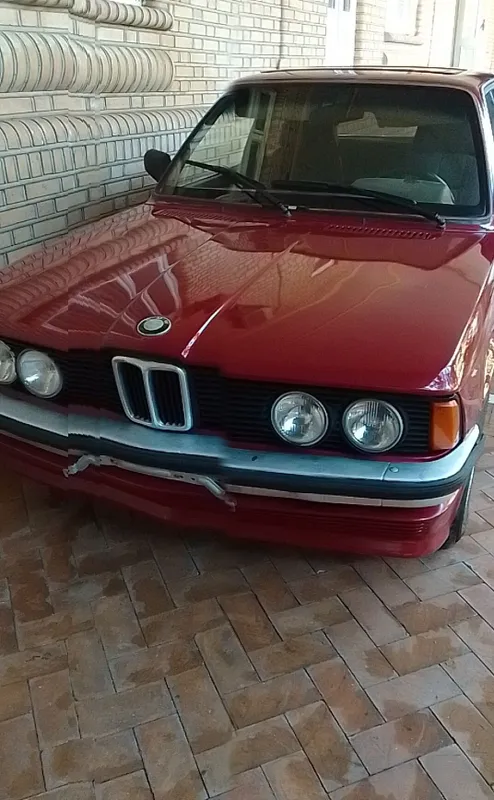 BMW спортивные 315