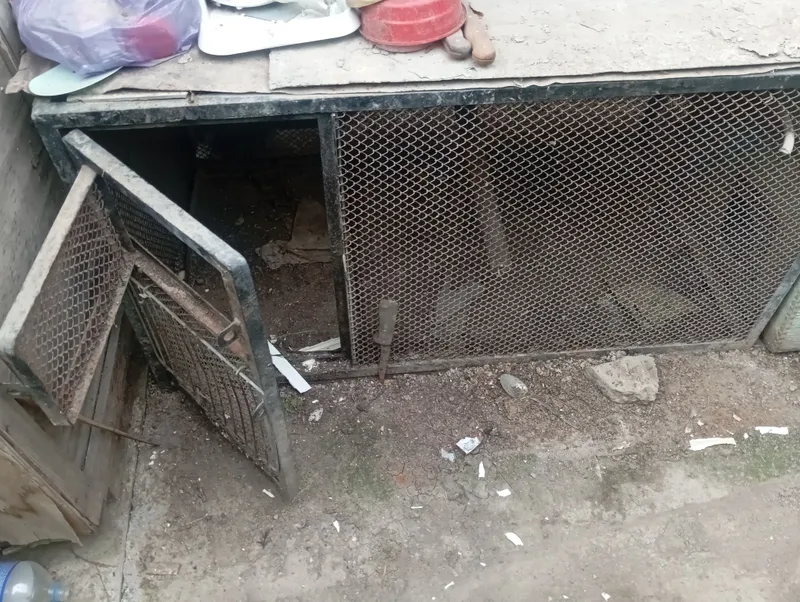 кафас 1
