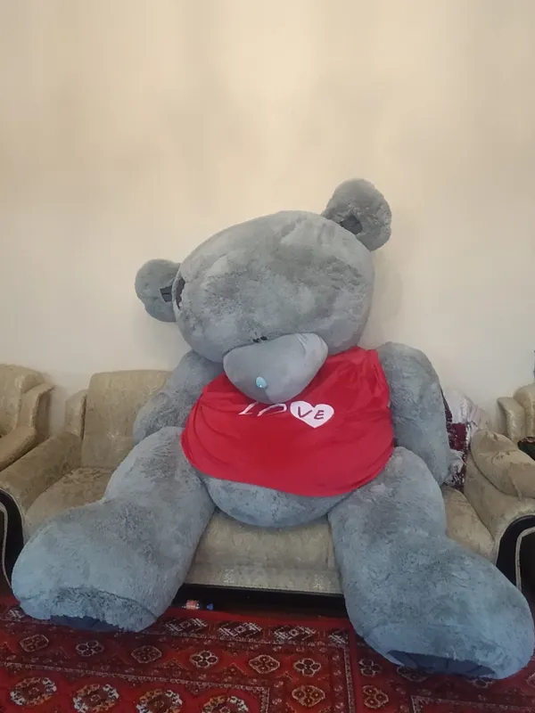 Teddy