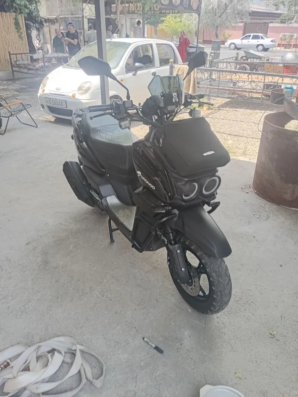 Drongo,moto bike