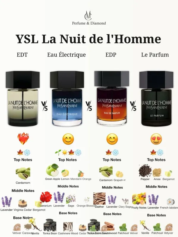 Original YSL Atirlar 3