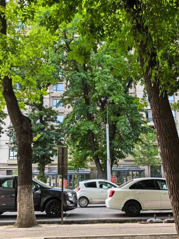 Аренда нежилое Чиланзар 2 кв. 1 линия. Noturar Chilonzor-2. yo'l yuzi. — фото 3