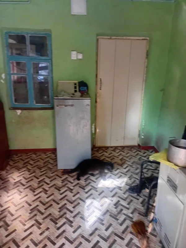 Yangiyo‘lda uy sotiladi 5