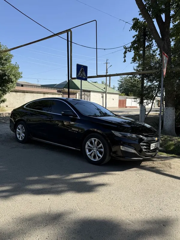 Malibu atmasferniy 2017 4 Malibu atmasferniy 2017 4