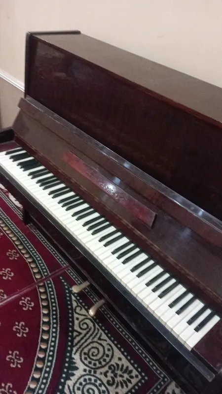 дружба fortapianosi — фото 1