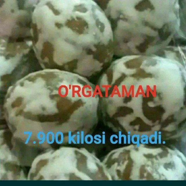 Pryanik o'rgatamiz 400 dollor bilan — фото 5