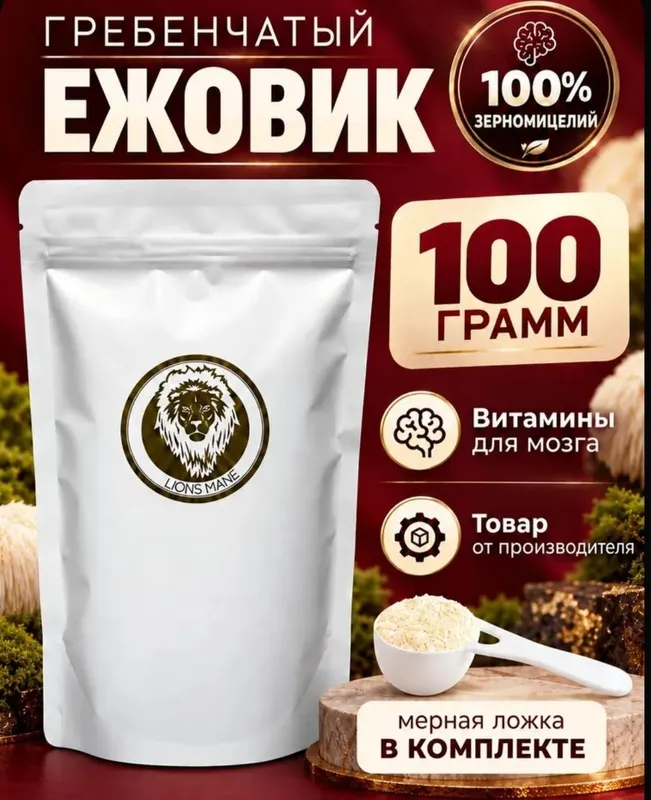 Taroqsimon kirpich qo‘ziqorini — mitseliy 3