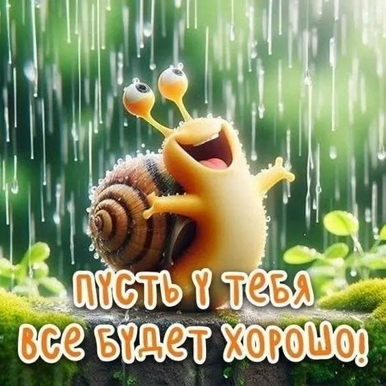 квартира квартира