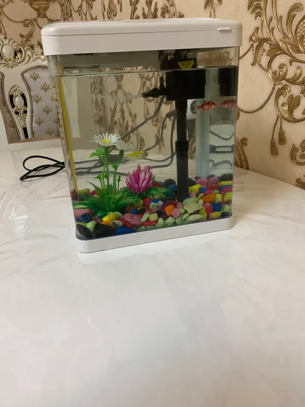 Akvarium 1 Akvarium 1