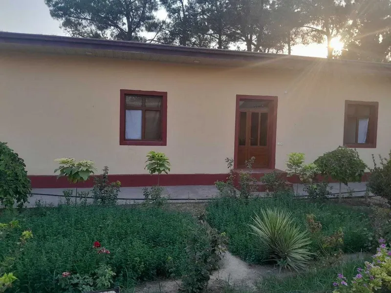 Termiz tuman Uchqizil MFYda 8 sotixli uy sotiladi — фото 3