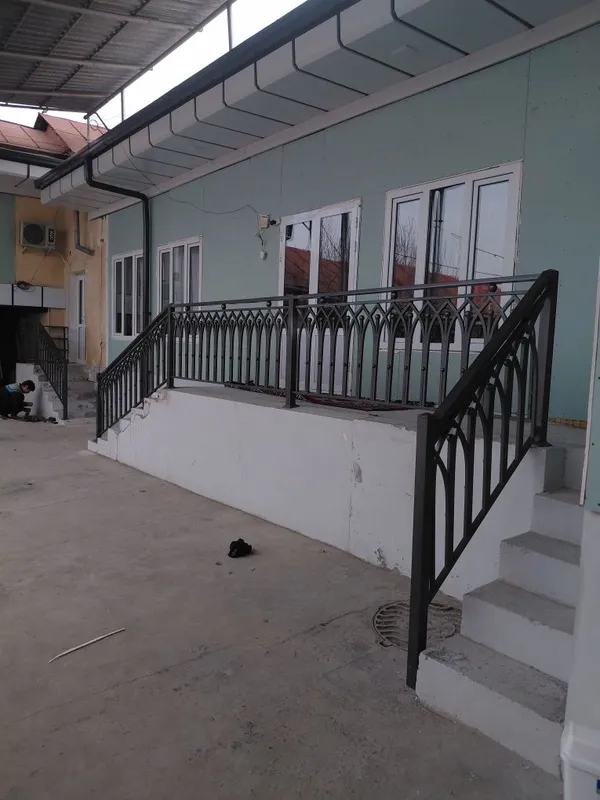 Rishotka perilla — фото 1
