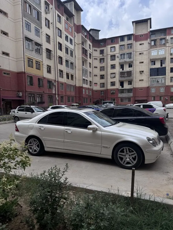 203 mers sotiladi srochni pul kerak