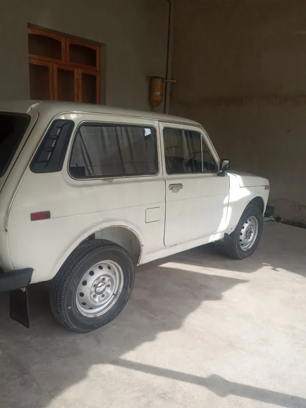niva 6 niva 6