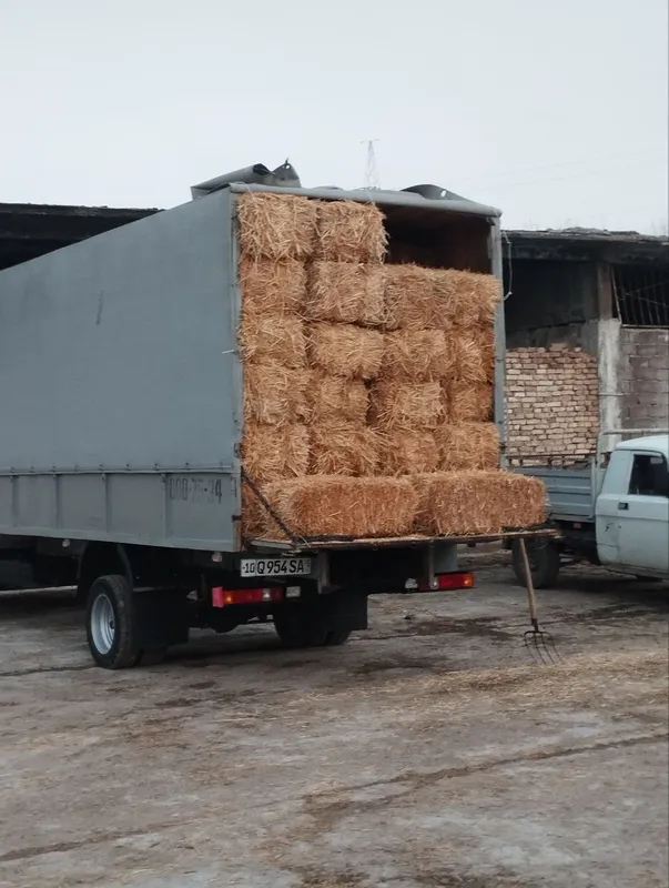 Somon pres bor. Yetkazib berish ham bor — фото 3