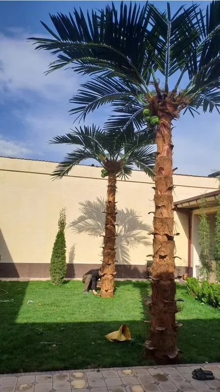 Sun’iy palma va dekorativ daraxtlar 2 Sun’iy palma va dekorativ daraxtlar 2