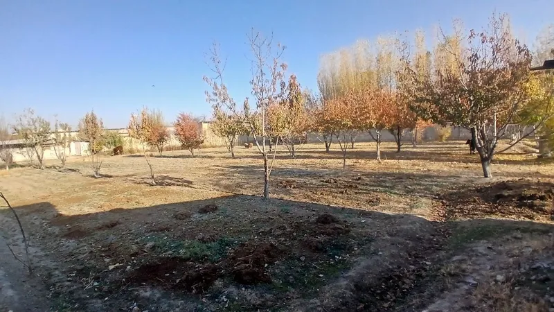 Tuman markazidan qulay joylashuvga ega yer uchastkasi sotiladi. — фото 1