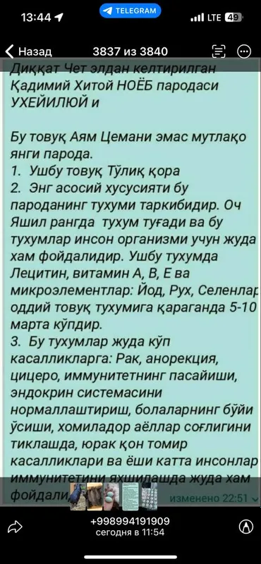 Қора ухеюл тухумлари сотилади тошкен15000 — фото 2