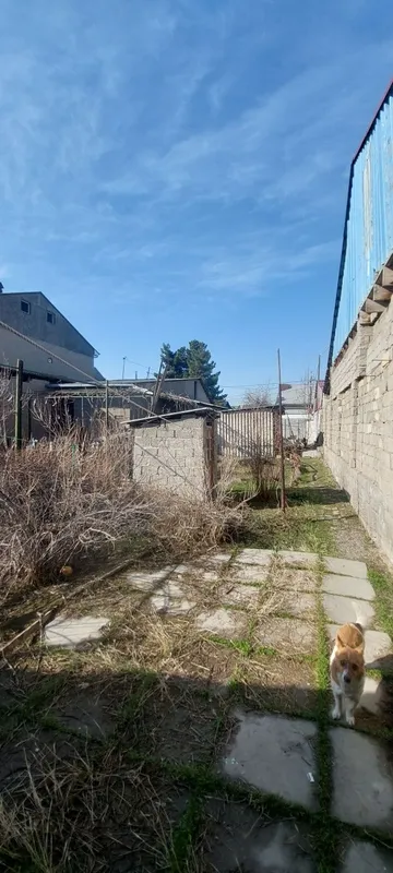 Участок 4,7 соток, дом 2 комнатный. Сергели, ул. РОВД и ул Олчазор — фото 3