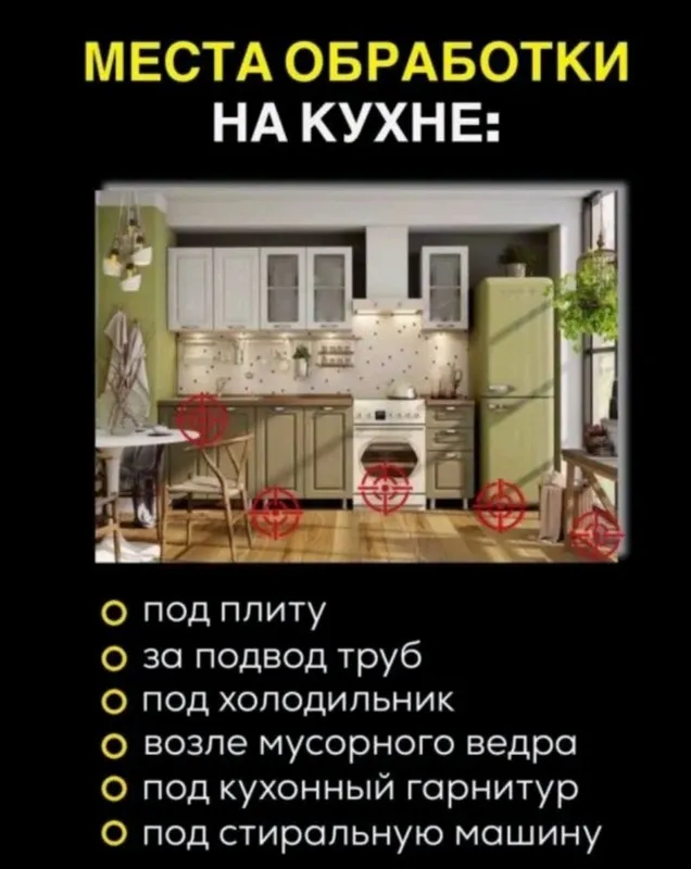 Средство от клопов тараканов крыс мышей ос мух т.д — фото 4
