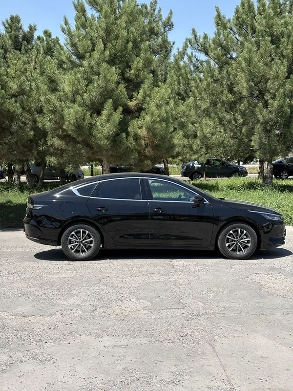byd chazor 2пазитса 55км 3 byd chazor 2пазитса 55км 3