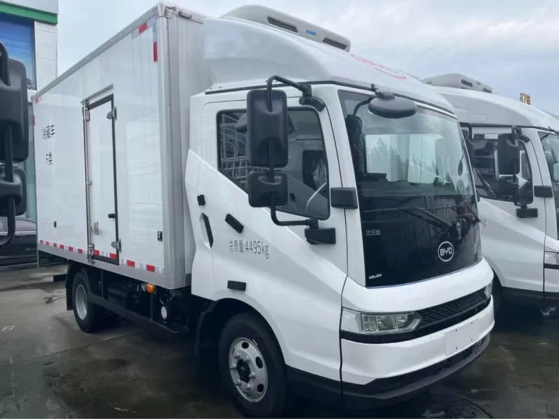 Byd T5 электрическая версия если из холодильника рефрижератором 132 кв — фото 3