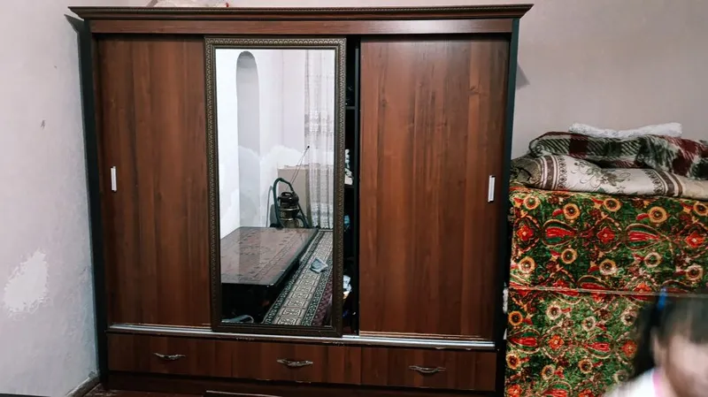 Шфанер пашти новый