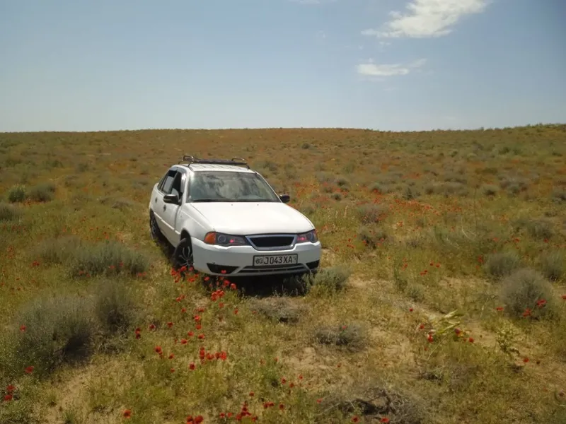 Nexia 1 xolati zoʻr 5