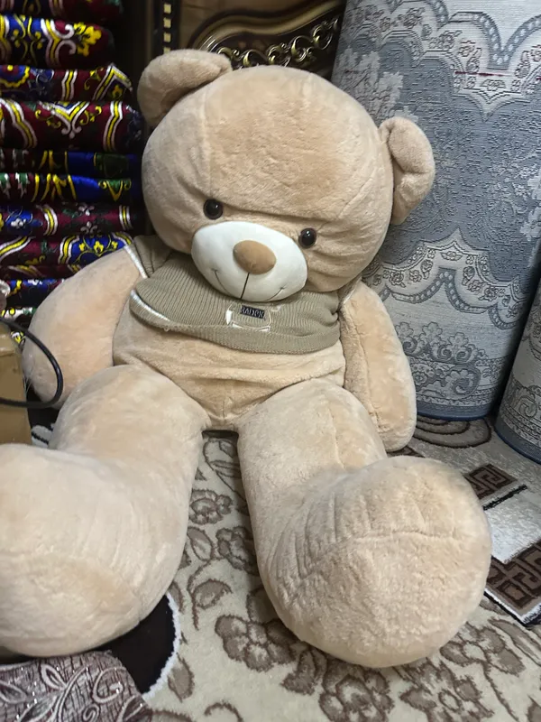 Taddy ayiqcha