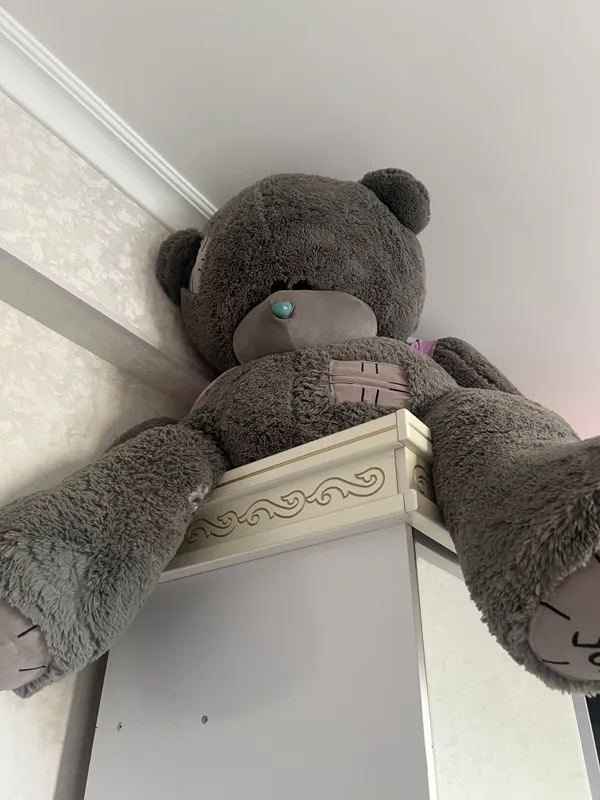 Teddy ayiq 2 Teddy ayiq 2