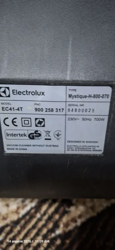 Ish holatidagi changyutgich sotaman, Electrolux 2