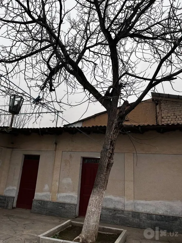 Продаеться дерево на дрова 1 Продаеться дерево на дрова 1