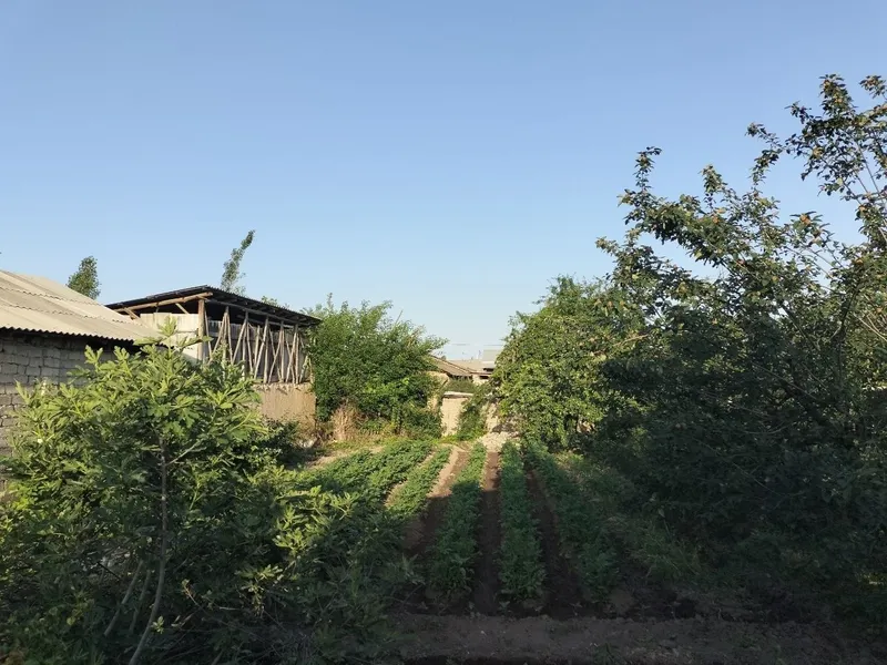 Shinam va qulay uy sotiladi Hamma sharoit bor suv gaz svet mavjud — фото 4